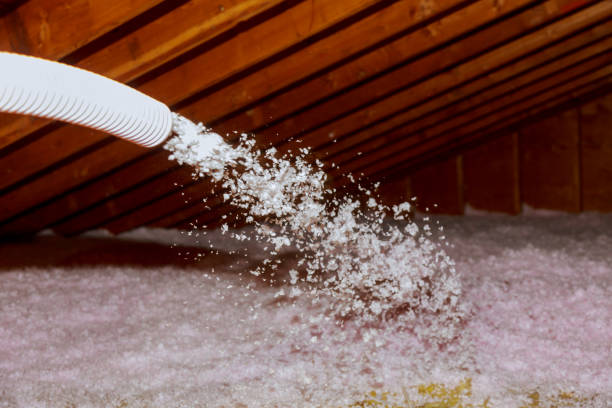 Best Cellulose Insulation in Kitty Hawk, NC