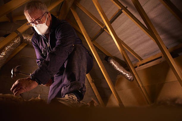 Best Insulation Maintenance and Repair in Kitty Hawk, NC